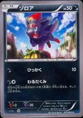 Zorua #37