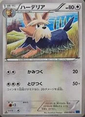 Herdier #50