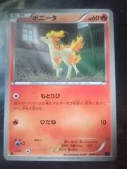 Ponyta #6