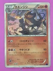 Pyroar #9
