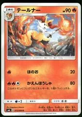 Braixen #13