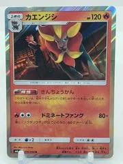 Pyroar #16