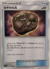 Unidentified Fossil #78