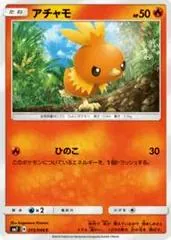 Torchic #15