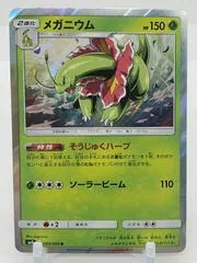 Meganium #5