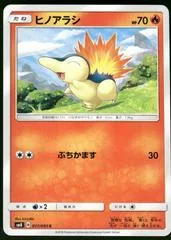 Cyndaquil #17