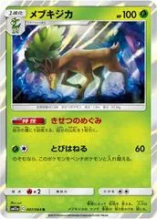 Sawsbuck #7