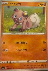 Rockruff #40