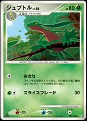 Grovyle [1st Edition] #6
