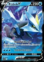 Kyurem V #29