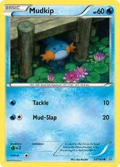 Mudkip #33