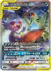Mega Sableye & Tyranitar GX #102