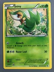 Snivy #RC1
