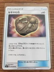 Unidentified Fossil #79