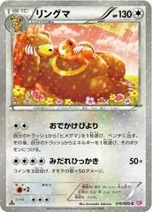 Ursaring [Holo 1st Edition] #16