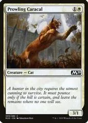 Prowling Caracal #309