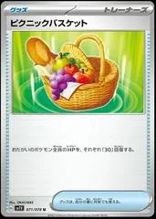 Picnic Basket #71