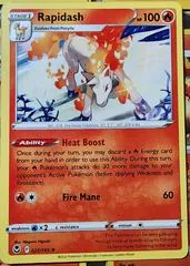 Rapidash #22