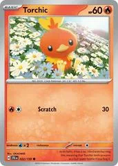 Torchic #22