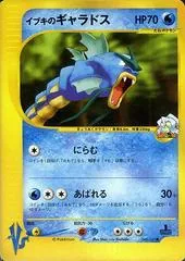 Clair's Gyarados #48