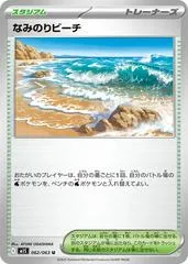Surfing Beach #62