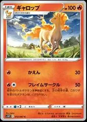 Rapidash #12