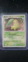 Chikorita [1st Edition]