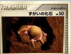 Skull Fossil [1st Edition]