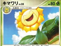 Sunflora [1st Edition]
