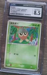 Seedot [1st Edition] #7