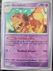 Dachsbun [Reverse Holo] #99