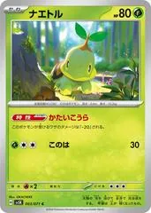Turtwig #3