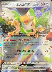 Squawkabilly ex #65