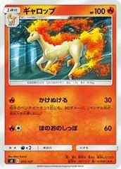 Rapidash #13