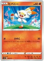 Scorbunny #16