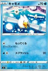 Wingull #20