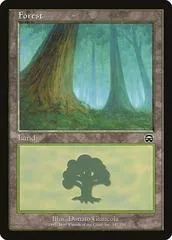 Forest [A] #347