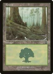 Forest [B] #348