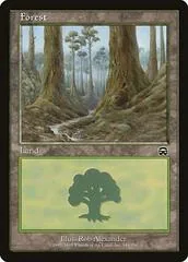 Forest [C] #349