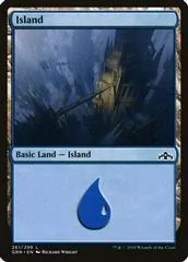 Island [Foil] #261
