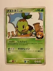 Turtwig #6
