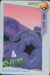 Weezing & Arbok #14