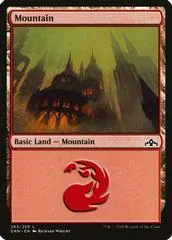 Mountain [Foil] #263
