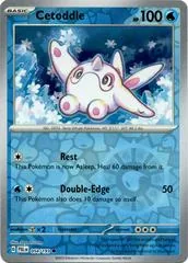 Cetoddle #54