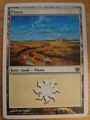 Plains #334