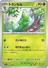 Metapod #11