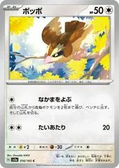 Pidgey #16