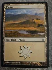 Plains #231