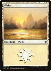 Plains #253