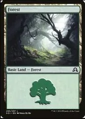 Forest #295